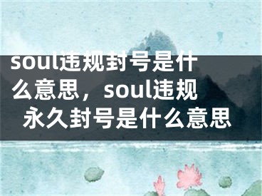 soul違規(guī)封號是什么意思，soul違規(guī)永久封號是什么意思