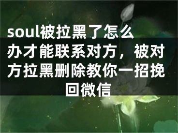 soul被拉黑了怎么辦才能聯(lián)系對方，被對方拉黑刪除教你一招挽回微信