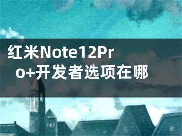 紅米Note12Pro+開(kāi)發(fā)者選項(xiàng)在哪