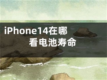 iPhone14在哪看電池壽命