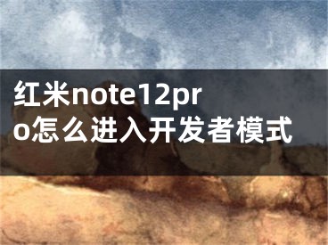 紅米note12pro怎么進(jìn)入開(kāi)發(fā)者模式