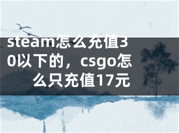 steam怎么充值30以下的，csgo怎么只充值17元