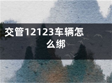 交管12123車輛怎么綁