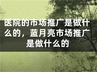 醫(yī)院的市場推廣是做什么的，藍月亮市場推廣是做什么的