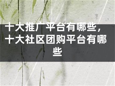 十大推廣平臺有哪些，十大社區(qū)團(tuán)購平臺有哪些