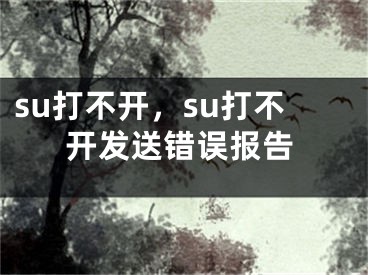 su打不開，su打不開發(fā)送錯誤報告