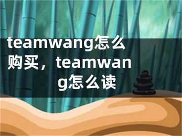 teamwang怎么購買，teamwang怎么讀