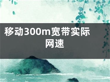 移動(dòng)300m寬帶實(shí)際網(wǎng)速