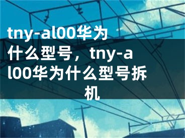 tny-al00華為什么型號，tny-al00華為什么型號拆機