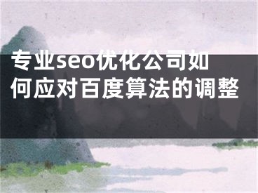 專業(yè)seo優(yōu)化公司如何應對百度算法的調整 