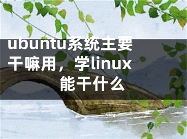 ubuntu系統(tǒng)主要干嘛用，學(xué)linux能干什么