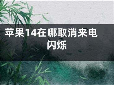 蘋果14在哪取消來電閃爍