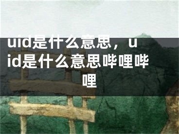 uid是什么意思，uid是什么意思嗶哩嗶哩