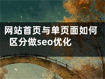 網(wǎng)站首頁與單頁面如何區(qū)分做seo優(yōu)化 