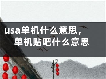 usa單機什么意思，單機貼吧什么意思