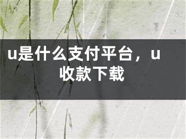 u是什么支付平臺，u收款下載