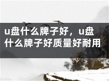 u盤什么牌子好，u盤什么牌子好質(zhì)量好耐用