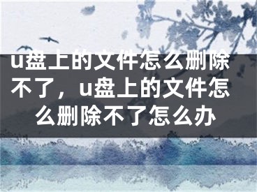 u盤上的文件怎么刪除不了，u盤上的文件怎么刪除不了怎么辦