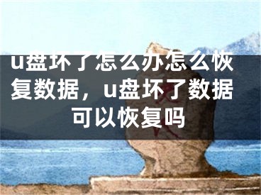 u盤(pán)壞了怎么辦怎么恢復(fù)數(shù)據(jù)，u盤(pán)壞了數(shù)據(jù)可以恢復(fù)嗎