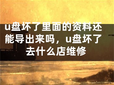 u盤壞了里面的資料還能導(dǎo)出來嗎，u盤壞了去什么店維修