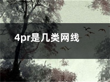 4pr是幾類網(wǎng)線