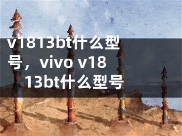 v1813bt什么型號(hào)，vivo v1813bt什么型號(hào)