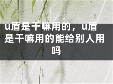 u盾是干嘛用的，u盾是干嘛用的能給別人用嗎