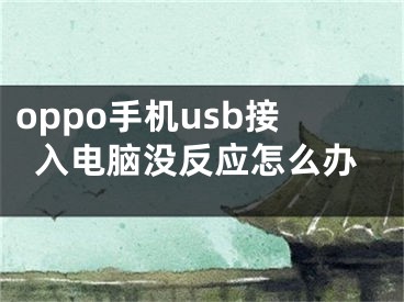 oppo手機usb接入電腦沒反應(yīng)怎么辦