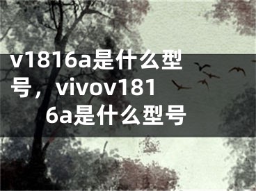 v1816a是什么型號(hào)，vivov1816a是什么型號(hào)