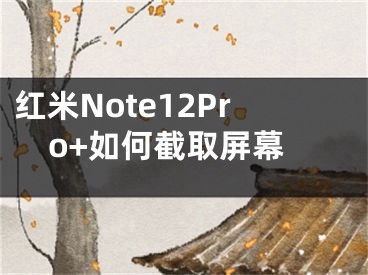 紅米Note12Pro+如何截取屏幕