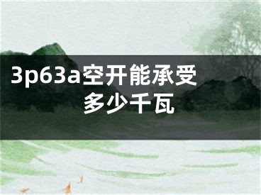 3p63a空開能承受多少千瓦