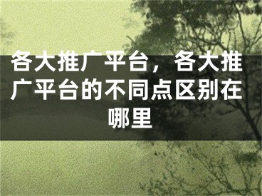 各大推廣平臺(tái)，各大推廣平臺(tái)的不同點(diǎn)區(qū)別在哪里