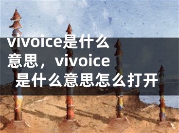 vivoice是什么意思，vivoice是什么意思怎么打開