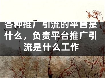 各種推廣引流的平臺是什么，負(fù)責(zé)平臺推廣引流是什么工作