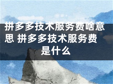 拼多多技術(shù)服務(wù)費(fèi)啥意思 拼多多技術(shù)服務(wù)費(fèi)是什么