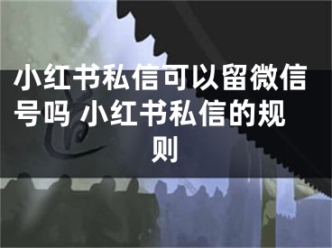 小紅書私信可以留微信號(hào)嗎 小紅書私信的規(guī)則