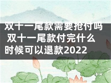 雙十一尾款需要搶付嗎 雙十一尾款付完什么時(shí)候可以退款2022