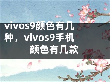 vivos9顏色有幾種，vivos9手機(jī)顏色有幾款