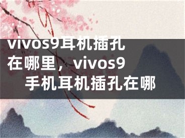 vivos9耳機(jī)插孔在哪里，vivos9手機(jī)耳機(jī)插孔在哪