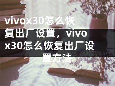 vivox30怎么恢復出廠設(shè)置，vivox30怎么恢復出廠設(shè)置方法