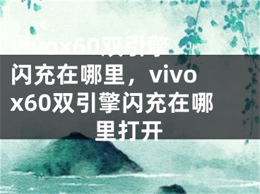 vivox60雙引擎閃充在哪里，vivox60雙引擎閃充在哪里打開