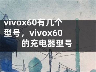 vivox60有幾個(gè)型號(hào)，vivox60的充電器型號(hào)