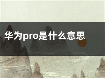 華為pro是什么意思