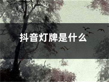 抖音燈牌是什么