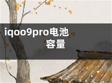 iqoo9pro電池容量