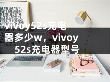 vivoy52s充電器多少w，vivoy52s充電器型號