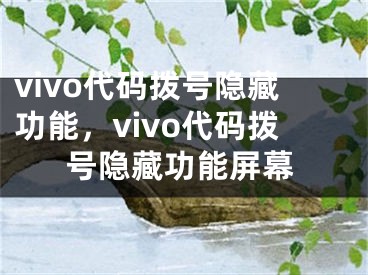 vivo代碼撥號隱藏功能，vivo代碼撥號隱藏功能屏幕