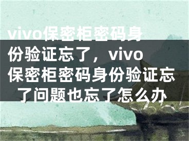 vivo保密柜密碼身份驗(yàn)證忘了，vivo保密柜密碼身份驗(yàn)證忘了問(wèn)題也忘了怎么辦