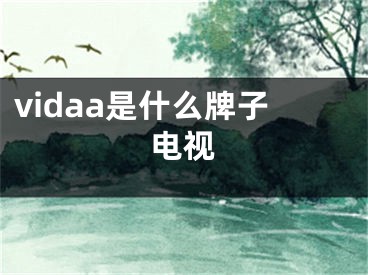 vidaa是什么牌子電視