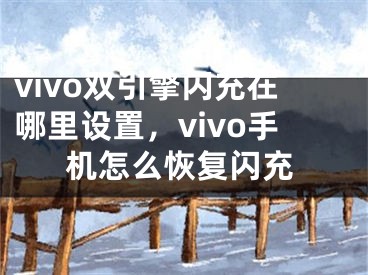 vivo雙引擎閃充在哪里設(shè)置，vivo手機(jī)怎么恢復(fù)閃充